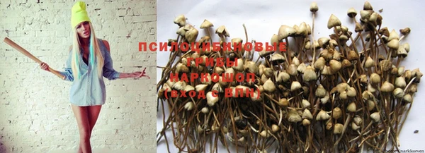 герыч Баксан