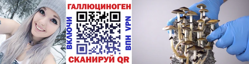 Псилоцибиновые грибы Magic Shrooms  Невель 